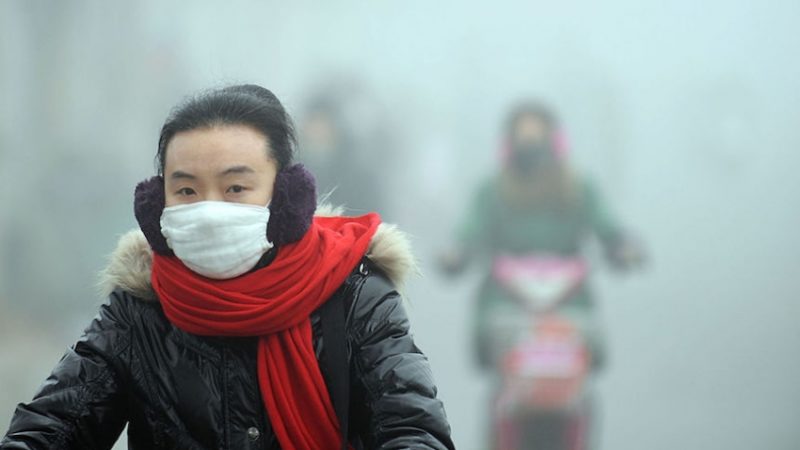 Slavoj Zizek: Lessons From the “Airpocalypse”