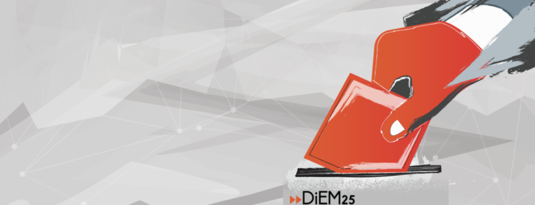 DiEM25 Electoral Wing